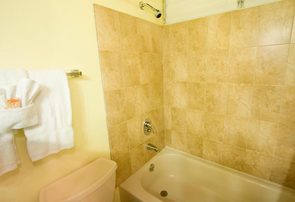 Hotel The Liguanea Club Kingston Habitación foto